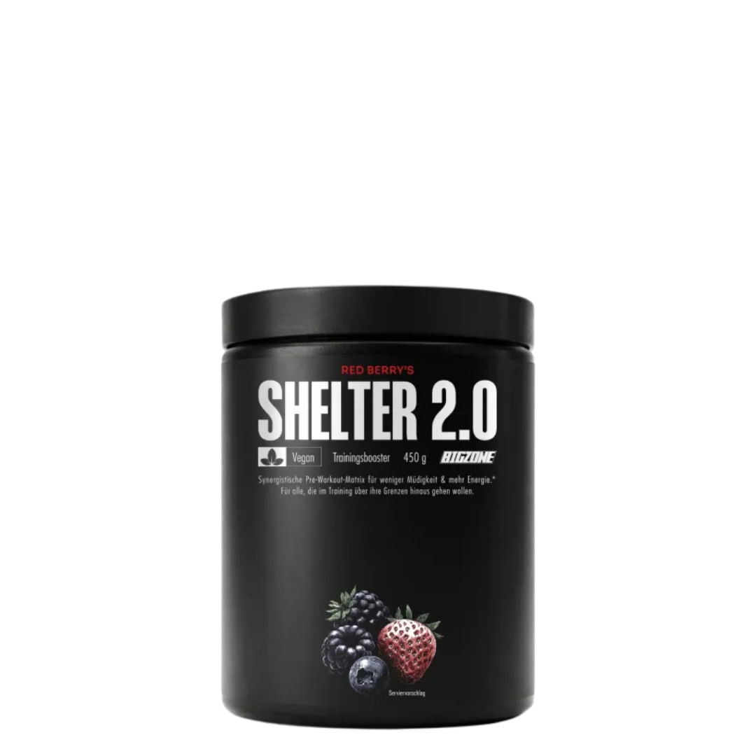 Big Zone, Shelter 2.0, 450g