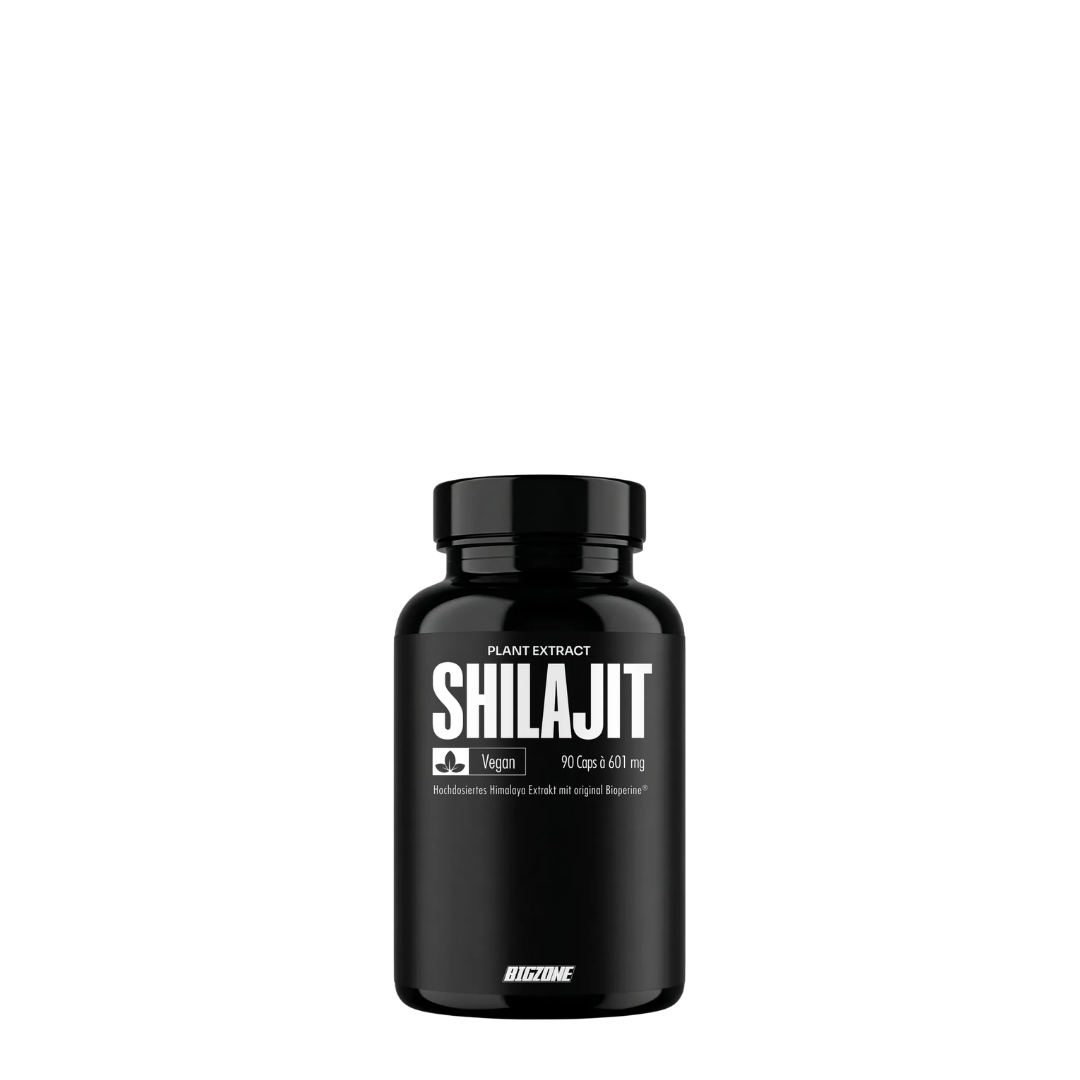 Big Zone, Shilajit, 90 Kapseln